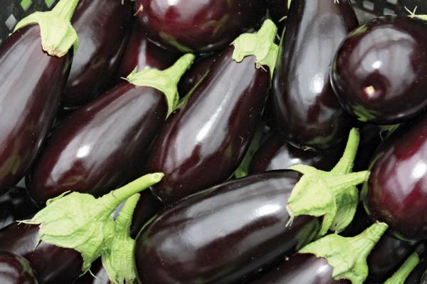 What are By-Products of Excellent Eggplant?