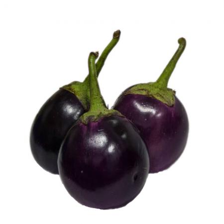 Wholesale Centers of Excellent Eggplant