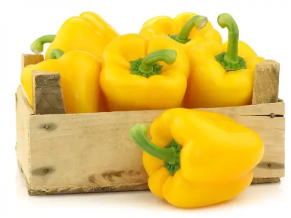 Nutrition Facts and Health Benefits of Bell Pepper
