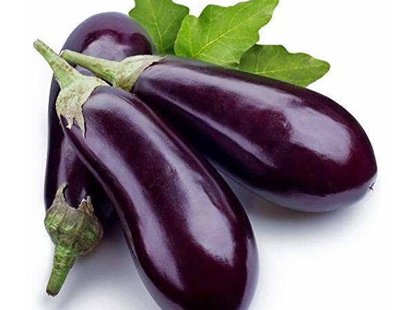 Wholesale Sales of Excellent Eggplant