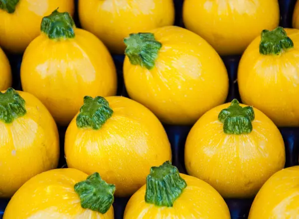 Where is The Origin of Round Yellow Pumpkin?