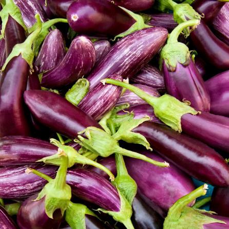 Surprising Benefits of Eggplant Nutrition