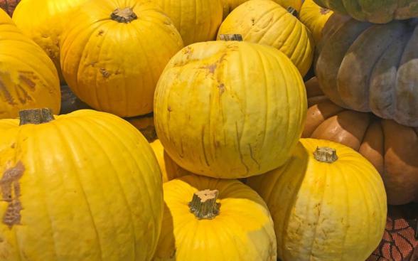 The Health Benefits of Round Yellow Pumpkin
