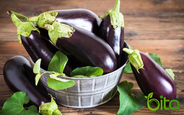 Why Is It Called Eggplant?