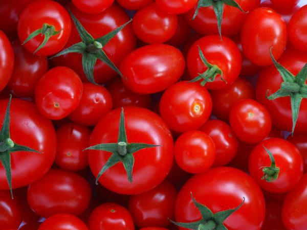 Incredible Prices of Wholesale Wonderful Tomatos
