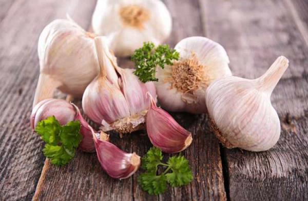 Direct Supply of Fresh Garlic Cloves in The Market