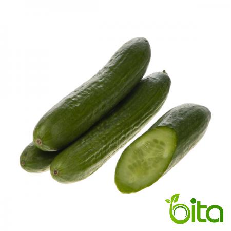  Big Green Cucumber Best Wholesaler