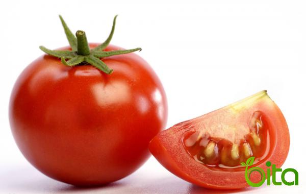   Organic Cherry Tomatoes Distributors 