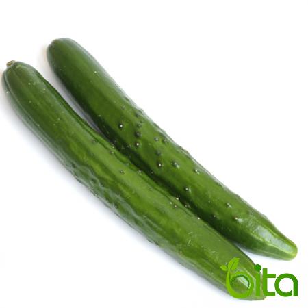  5 Main Factors to Export Green Cucumber 