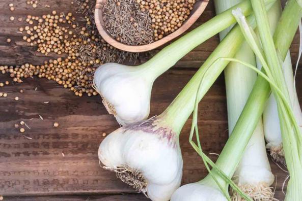 Selecting Fresh Garlic and How to Maintain It