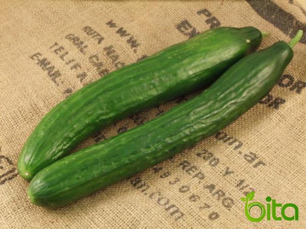 Small Green Cucumber Suppliers 