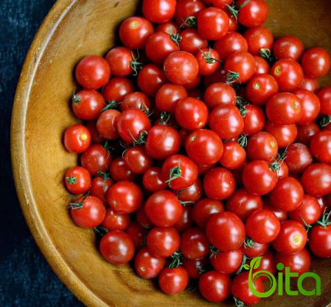 Using 3 Cherry Tomatoes Everyday Are Good for Kids