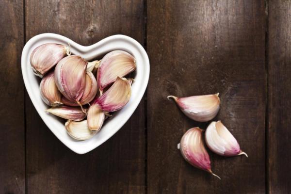 Wholesale Suppliers of Fresh Garlic Cloves
