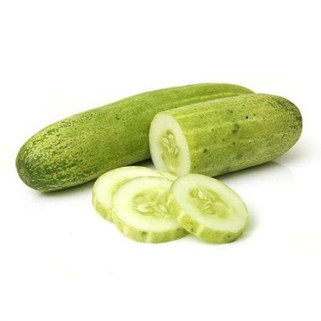 The Suppliers of Green Light Cucumber