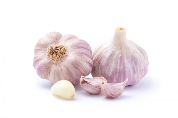 Market Price of Fresh Garlic