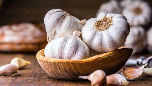 Unique Features of Garlic You Need to Know
