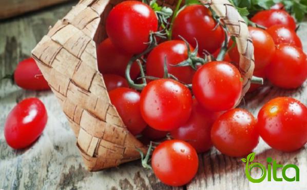 Red Cherry Tomato for Sale