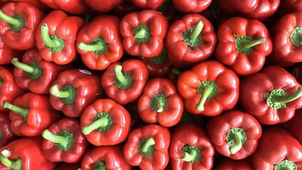 Types of Small Red Rell Peppers and Their Uses