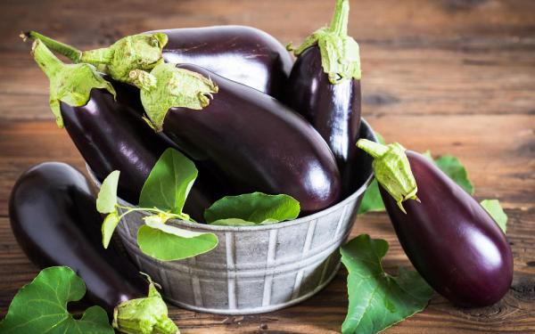 Different Types of Organic Eggplants