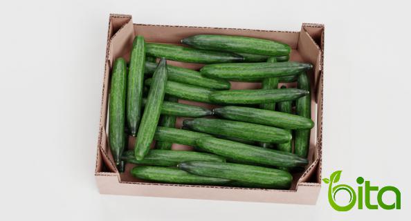 How Do Cucumbers’ Antioxidants Help Your Body?