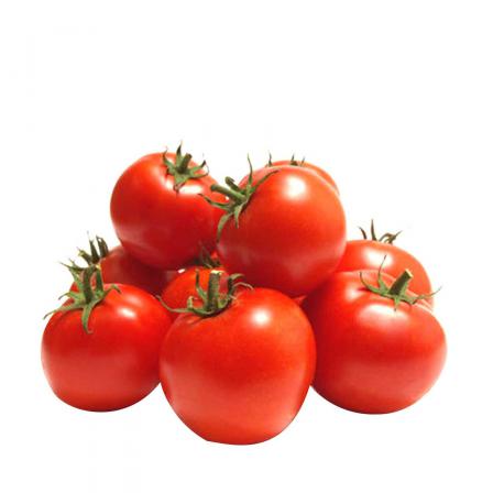 Interesting Facts about Tomato