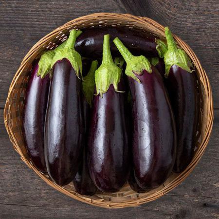 Organic Eggplant Wholesale Purchase Price
