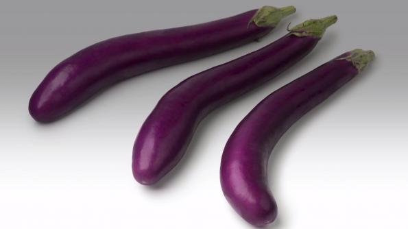 Which Variety of Eggplant is Best?