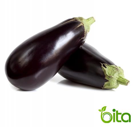 Purple Eggplant Wholesale Supplier