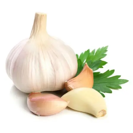 Fresh White Garlic Wholesale Price