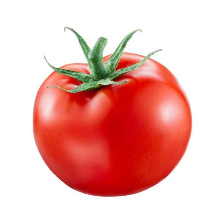 Wholesale Purchase Price of Wonderful Tomatoes