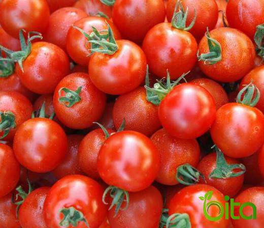 Use a lot Cherry Tomatoes at Restaurant