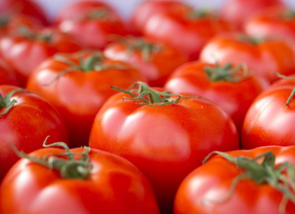 Wholesale Purchase Price of Ripe Tomatoes