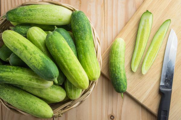 What Type of Cucumber is Light Green?