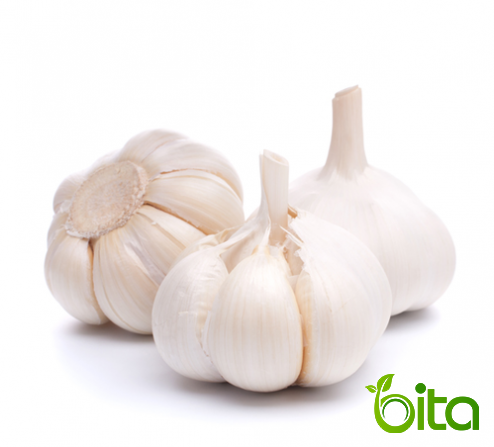  Fresh White Garlic Export Price