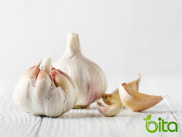 What Do You Need to Know About Garlic?