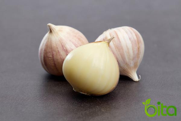 Best Seller of Small Garlic Bulbs 