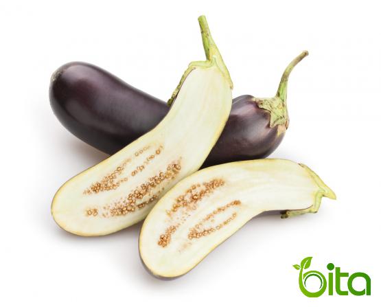 The Best Distributor of Seeded Eggplant
