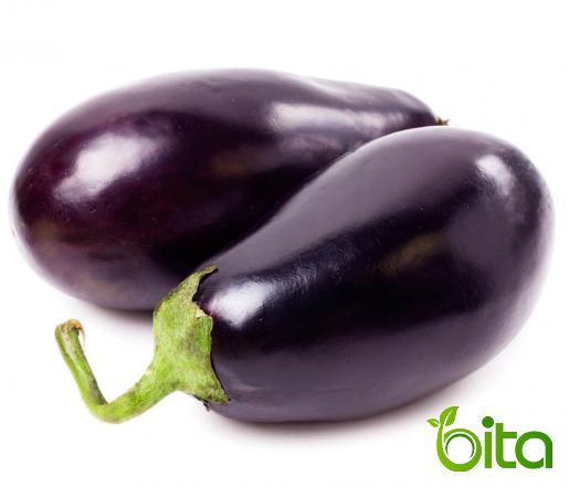 The Largest Producer and Supplier of Eggplant in Asia