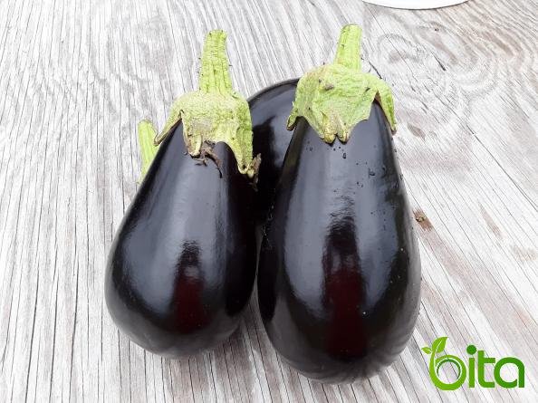 Which Countries Produce Eggplant?