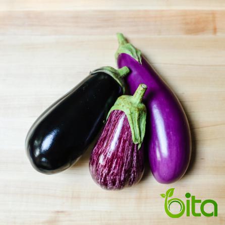 Eggplants for Export at The Best Price
