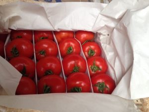 Bulk tomatoes for sale near me