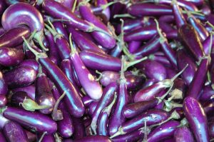 Economic importance of eggplant