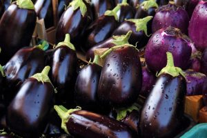 Objectives of eggplant production