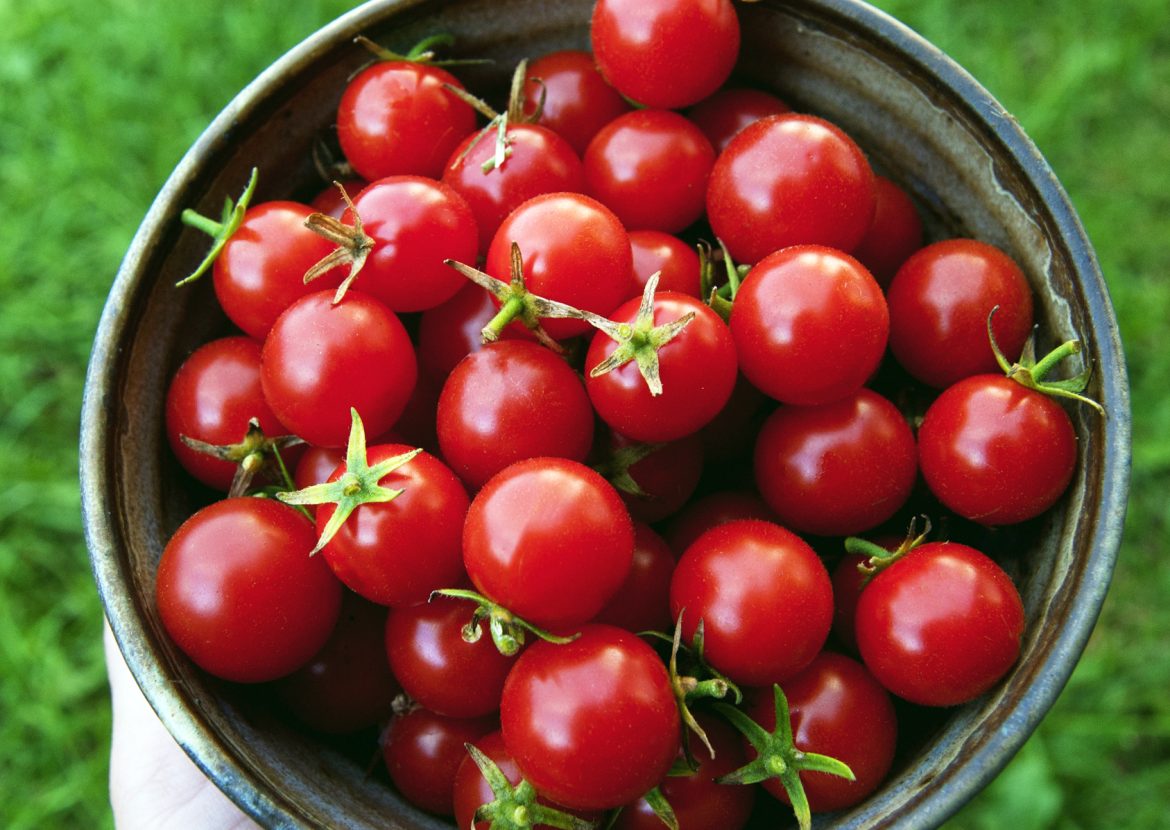 Black and blue grape tomatoes boxing