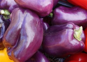 what is a purple bell pepper