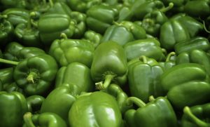 Green pepper wholesale price