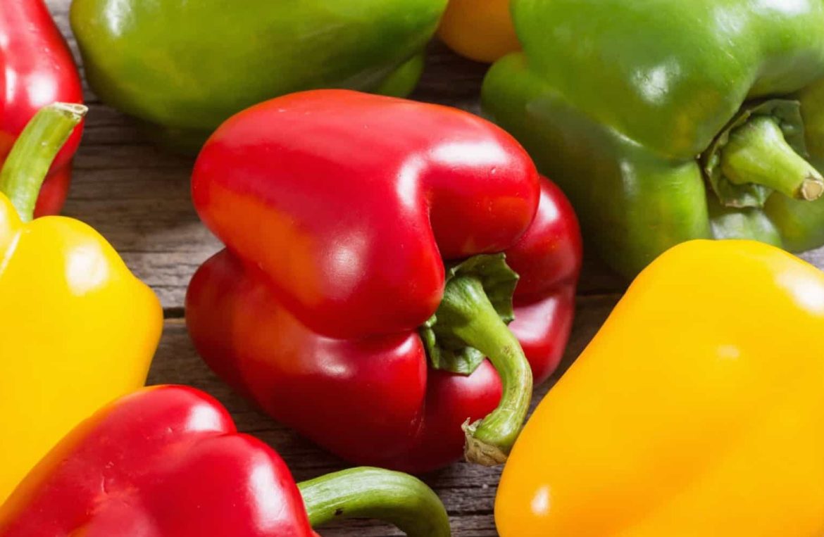 Wholesale Competitive Price of Bell Pepper