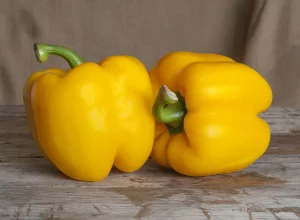 best yellow bell pepper variety