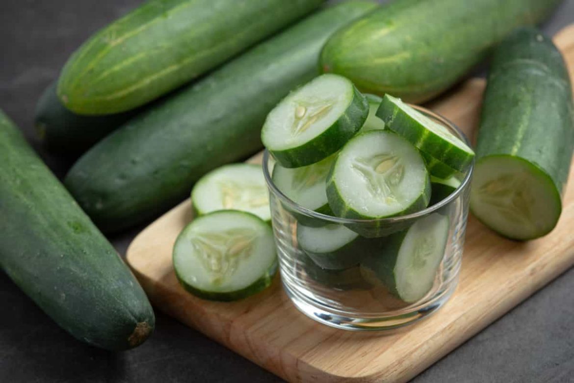 Best suppliers for cucumber