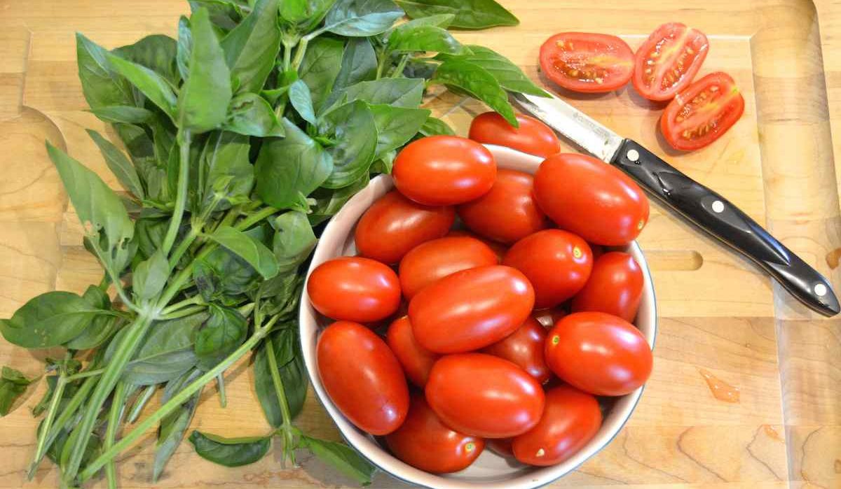  roma tomato plant leaves+ size 